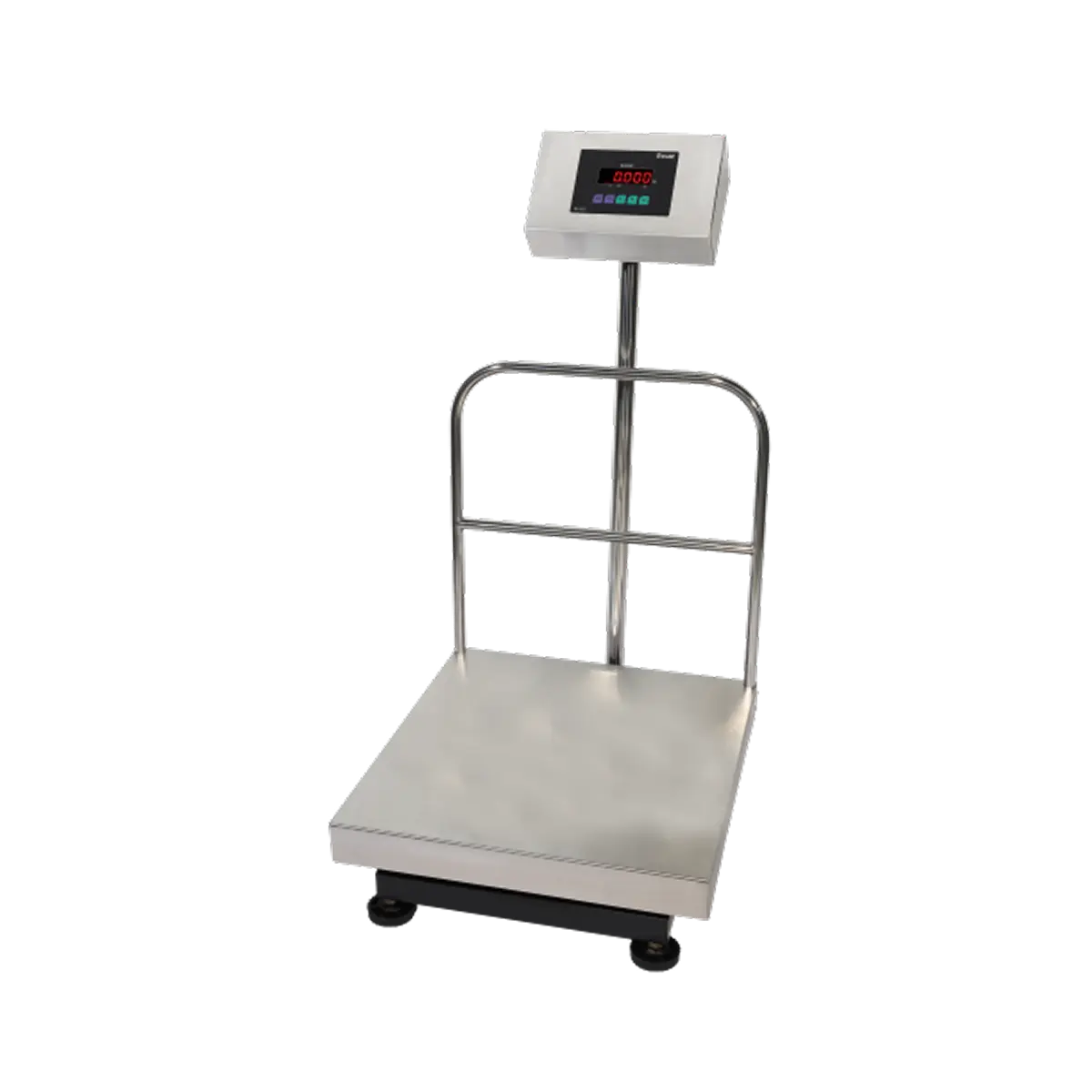 DS-215SS Stainless Steel Scale